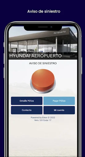 HYUNDAI PROTECT screenshot 3