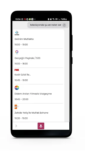 CEYD-A Sesli Asistan screenshot 1