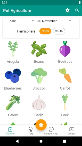 Urban veggie garden