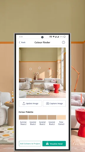 Dulux Visualizer IN screenshot 4