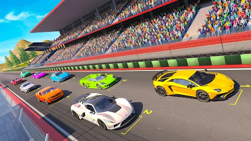 Crazy Street Stock Cars Racing