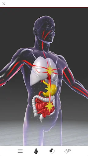 Acupuncture 3D