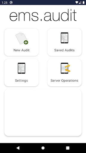 EMS.Audit