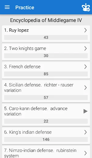Chess Middlegame IV screenshot 1