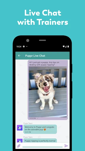 Puppr - Dog Training & Tricks screenshot 4