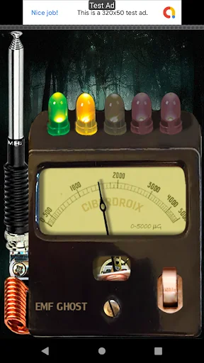 EMF Ghost Detector Simulator