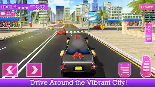 VIP Limo - Wedding Car Driving