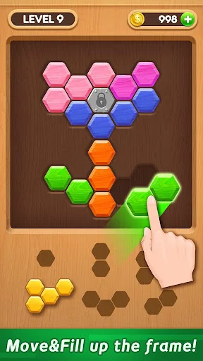 Wood Block Puzzle - Hexa
