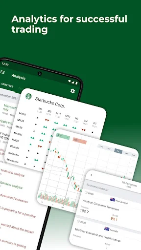 Forex fundamental analysis