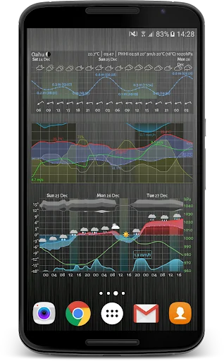Meteogram Weather Widget screenshot 1