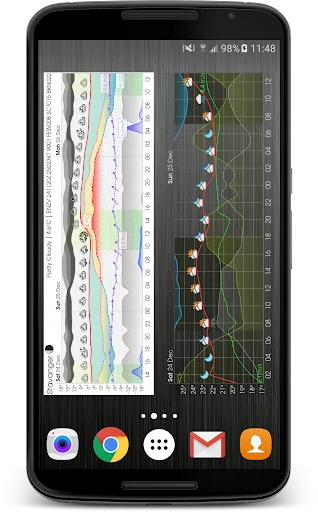 Meteogram Weather Widget screenshot 3