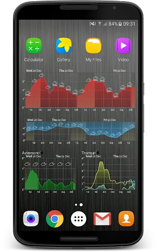Meteogram Weather Widget screenshot 4