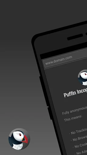 Puffin Incognito Browser screenshot 1