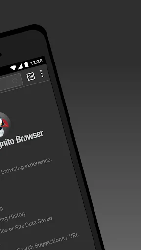 Puffin Incognito Browser screenshot 2