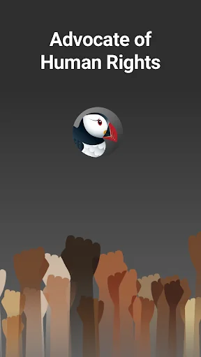 Puffin Incognito Browser screenshot 3