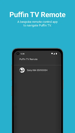 Puffin TV Remote
