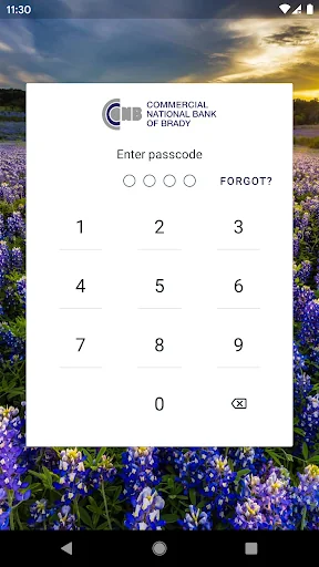 My CNB Brady App