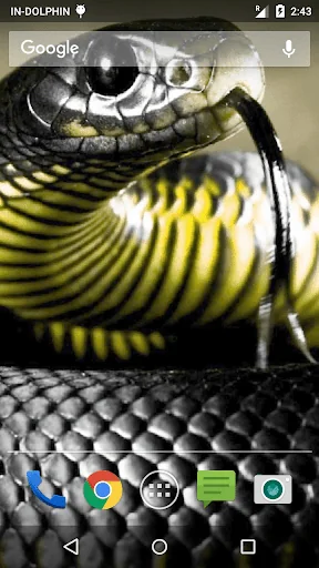 Magic Touch Cobra Attack