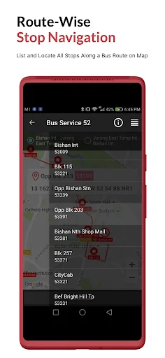 SG Buses: Timing & Routes