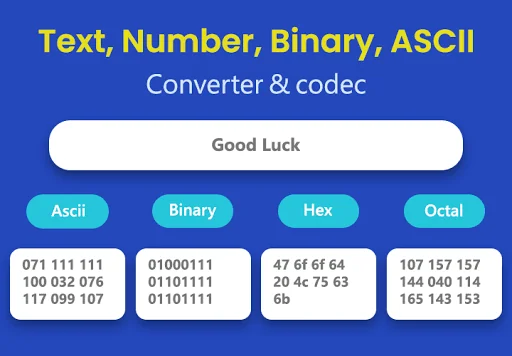 Text, Number, Binary, ASCII Co
