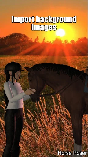 Horse Poser