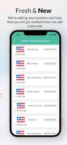 Receive SMS Online screenshot 3