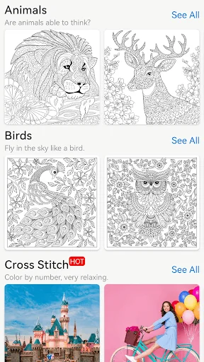 Coloring Book