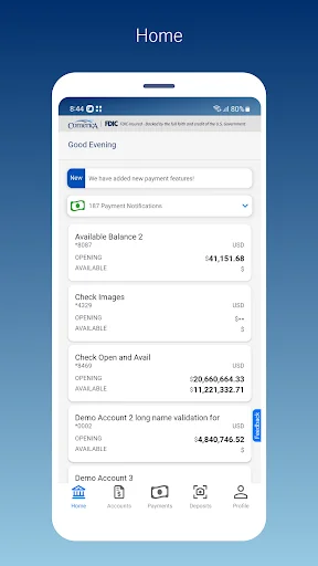 Comerica Treasury Mobile® screenshot 2