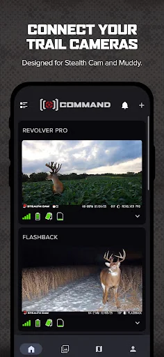 Command