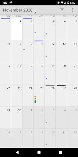 Duoserve Calendar screenshot 4