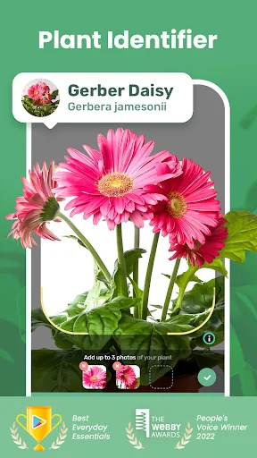 Blossom - Plant Identifier screenshot 1