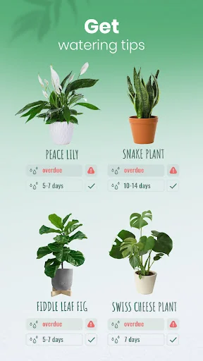 Blossom - Plant Identifier screenshot 4