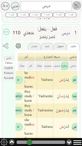 Arabic verb conjugation screenshot 3