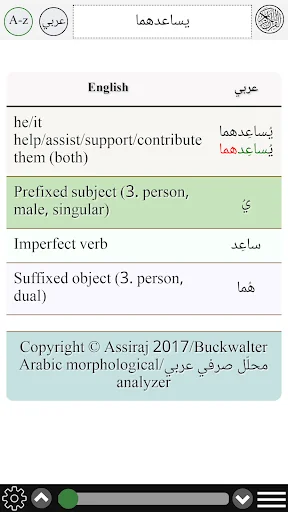 Arabic verb conjugation screenshot 4