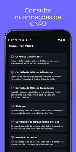 Consulta CNPJ