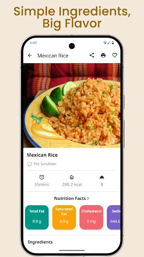 Rice Recipes screenshot 2