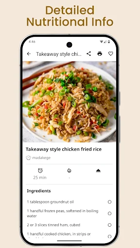 Rice Recipes screenshot 4