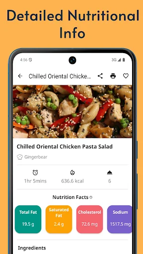 Recipes : World Cuisines screenshot 4