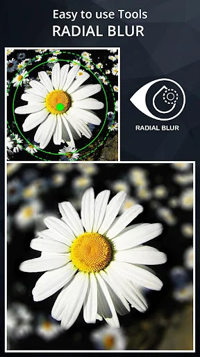 DSLR Camera Blur Effects screenshot 2