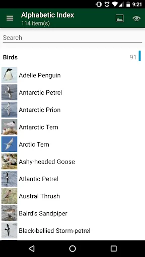 Antarctic Wildlife Guide