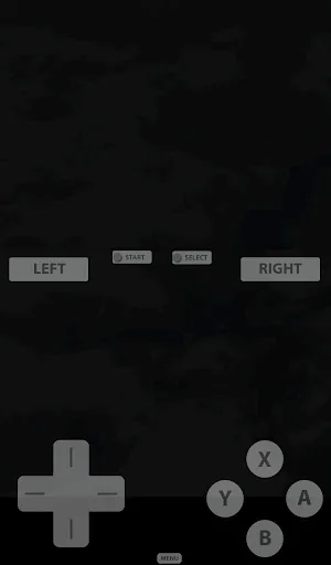 Fast DS Emulator For Android screenshot 2