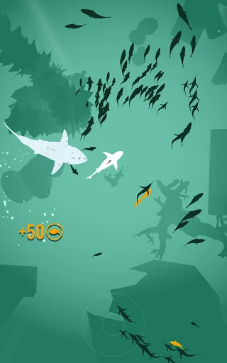 Shoal of fish