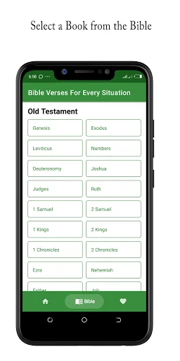 Bible Verses For Every Situati screenshot 4