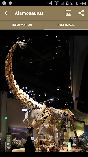 Cretaceous dinosaurs