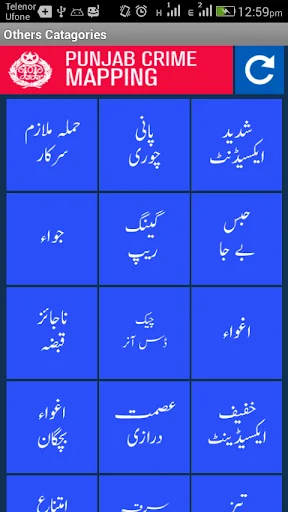 Punjab Crime Mapping screenshot 3