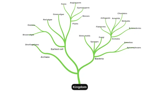 miMind - Easy Mind Mapping screenshot 2