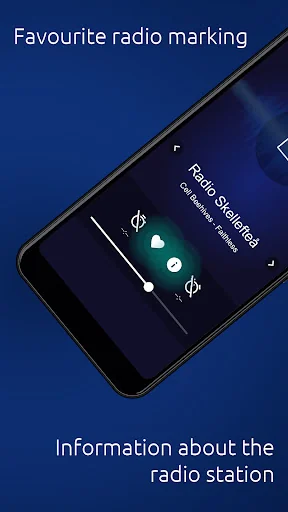 SE Radio - Swedish Radios screenshot 4