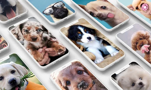 Puppy Wallpaper