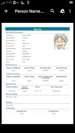 CV Editor Pro (Resume)