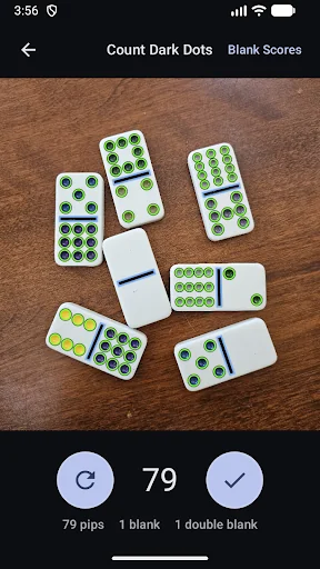 Domino Dot Counter screenshot 1